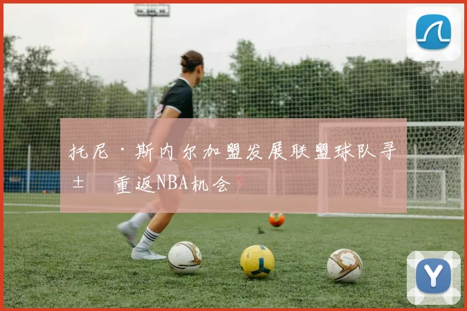 托尼·斯内尔加盟发展联盟球队寻求重返NBA机会