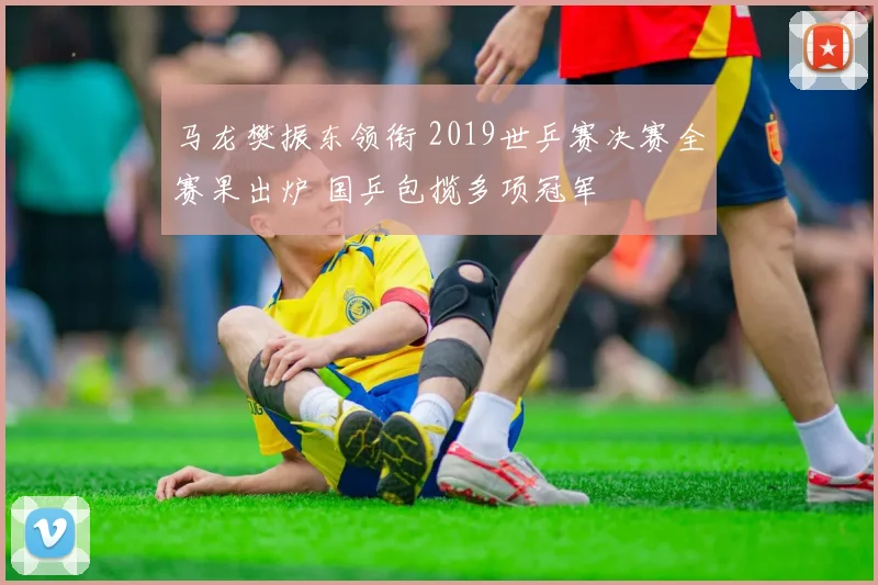 马龙樊振东领衔 2019世乒赛决赛全赛果出炉 国乒包揽多项冠军