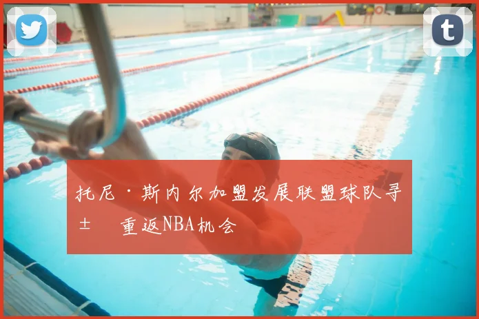 托尼·斯内尔加盟发展联盟球队寻求重返NBA机会