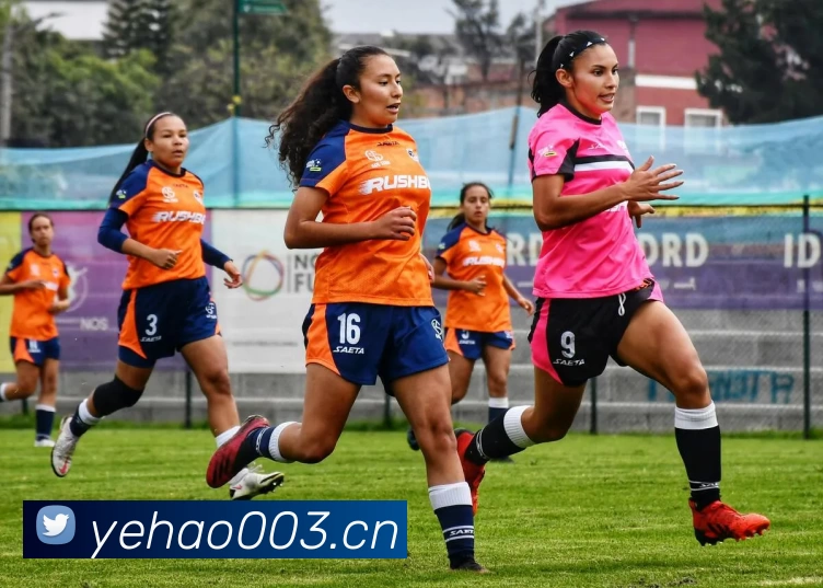 滚球官网appAPP 高清赛事图